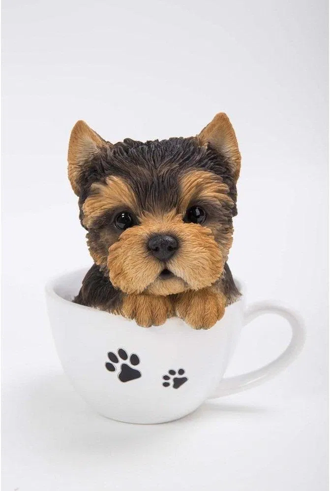 Nhìn bộ mặt đáng yêu của Yorkie tách trà muốn cưng ghê ấy chứ! (Ảnh: Internet). Nhìn bộ mặt đáng yêu của Yorkie tách trà muốn cưng ghê ấy chứ! (Ảnh: Internet).