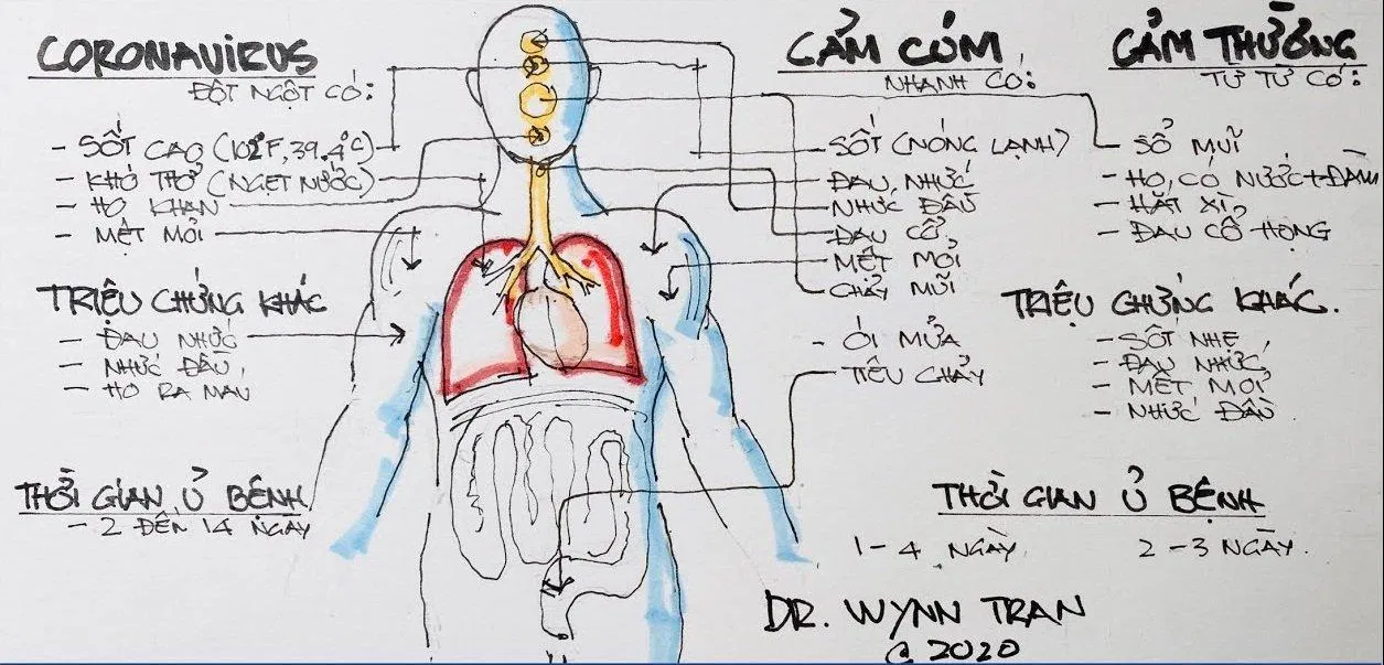 COVID-19 có thời gian ủ bệnh như thế nào so với cảm cúm? (Ảnh: Internet).