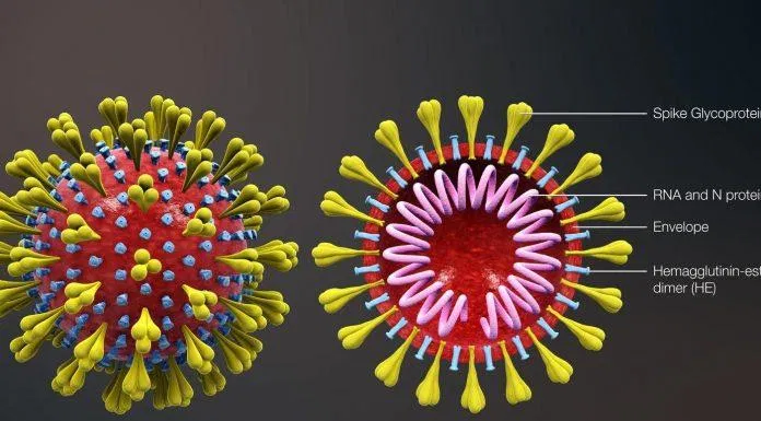 Mặc dù đều do virus gây ra nhưng COVID-19 và cảm cúm có nhiều điểm khác biệt (Ảnh: Internet). Mặc dù đều do virus gây ra nhưng COVID-19 và cảm cúm có nhiều điểm khác biệt (Ảnh: Internet).