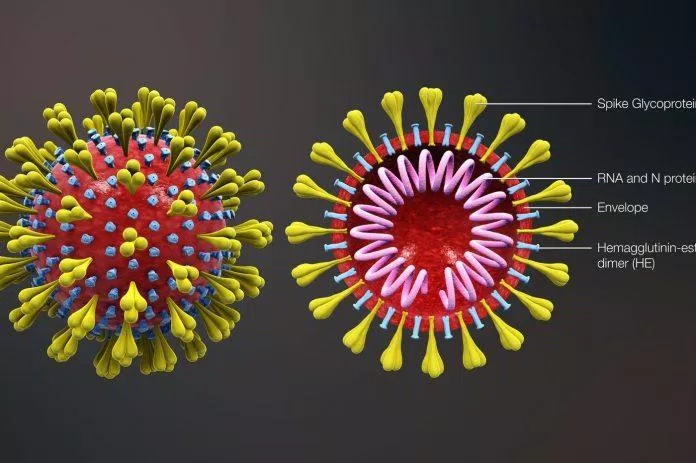 Mặc dù đều do virus gây ra nhưng COVID-19 và cảm cúm có nhiều điểm khác biệt (Ảnh: Internet).