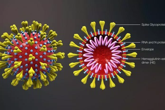 Mặc dù đều do virus gây ra nhưng COVID-19 và cảm cúm có nhiều điểm khác biệt (Ảnh: Internet). Mặc dù đều do virus gây ra nhưng COVID-19 và cảm cúm có nhiều điểm khác biệt (Ảnh: Internet).