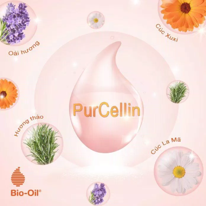 Dầu Bio Oil được chiết xuất từ dầu Purecellin độc quyền mang lại nhiều công dụng ( Nguồn: internet)