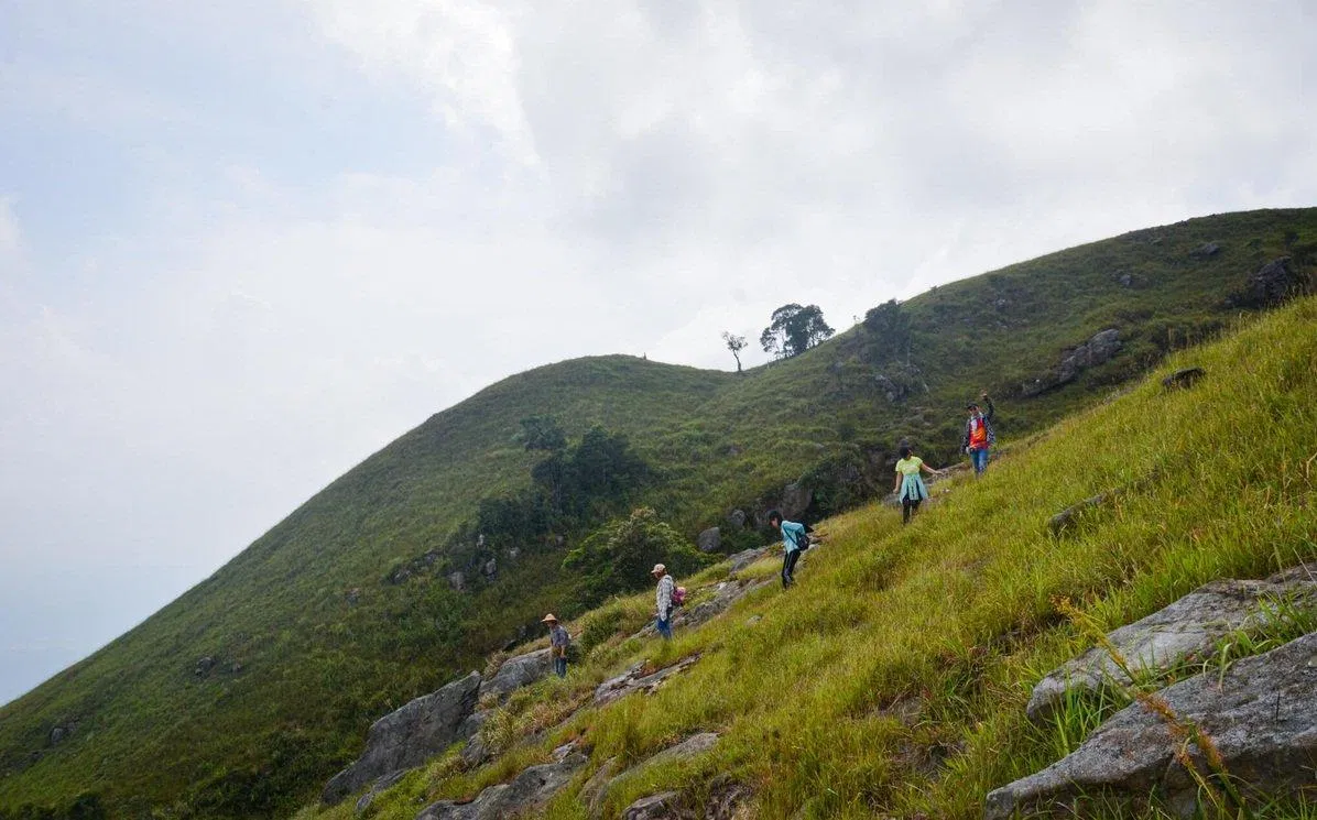 Đoạn đường đi lên trải đầy cỏ xanh (Ảnh: Internet). Đoạn đường đi lên trải đầy cỏ xanh (Ảnh: Internet).