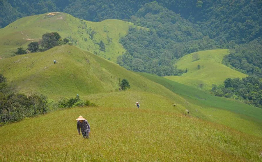 Một thảo nguyên nho nhỏ với màu xanh dịu mát (Ảnh: Internet). Một thảo nguyên nho nhỏ với màu xanh dịu mát (Ảnh: Internet).