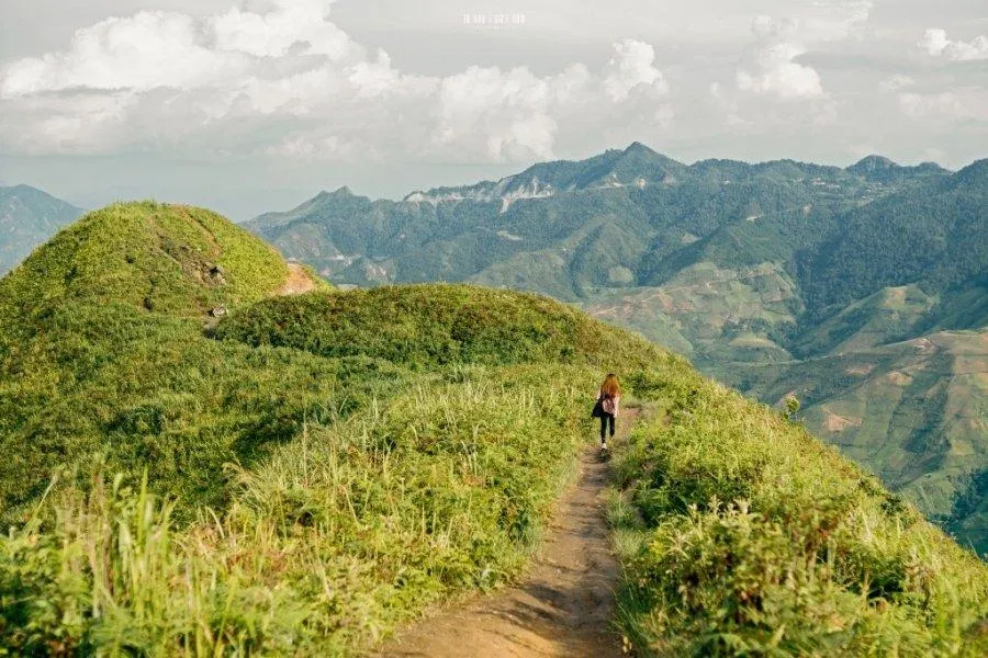 Lên kế hoạch chinh phục Tà Xùa ngay và luôn nào! (Ảnh: Internet). Lên kế hoạch chinh phục Tà Xùa ngay và luôn nào! (Ảnh: Internet).