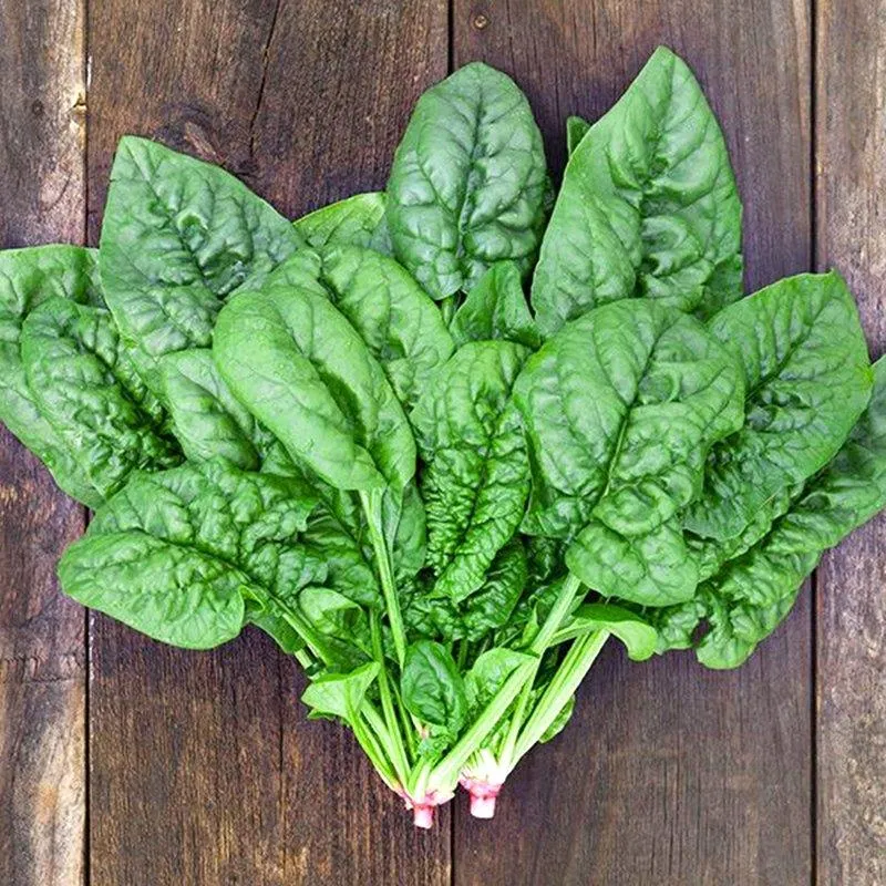 Nếu chắc chắn rau sạch thì bạn có thể ăn ngay không cần nấu (Ảnh: Internet). Nếu chắc chắn rau sạch thì bạn có thể ăn ngay không cần nấu (Ảnh: Internet).