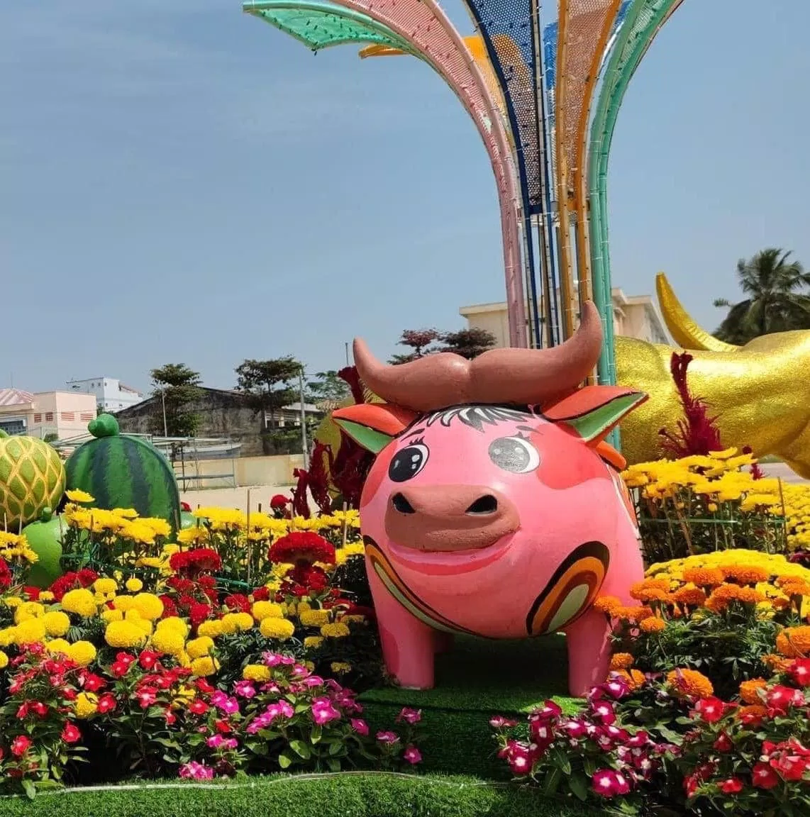 Trâu đâu không rõ chỉ nhìn ra chú lợn (Ảnh: Internet).