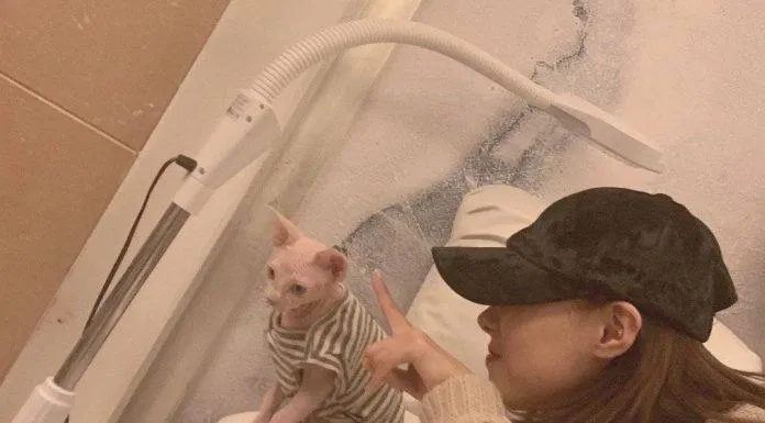 Handong (Dreamcatcher) là một trong những ngôi sao Kpop thuộc hội cuồng mèo của Kpop. (Nguồn: Internet)