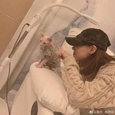 Handong (Dreamcatcher) là một trong những ngôi sao Kpop thuộc hội cuồng mèo của Kpop. (Nguồn: Internet)