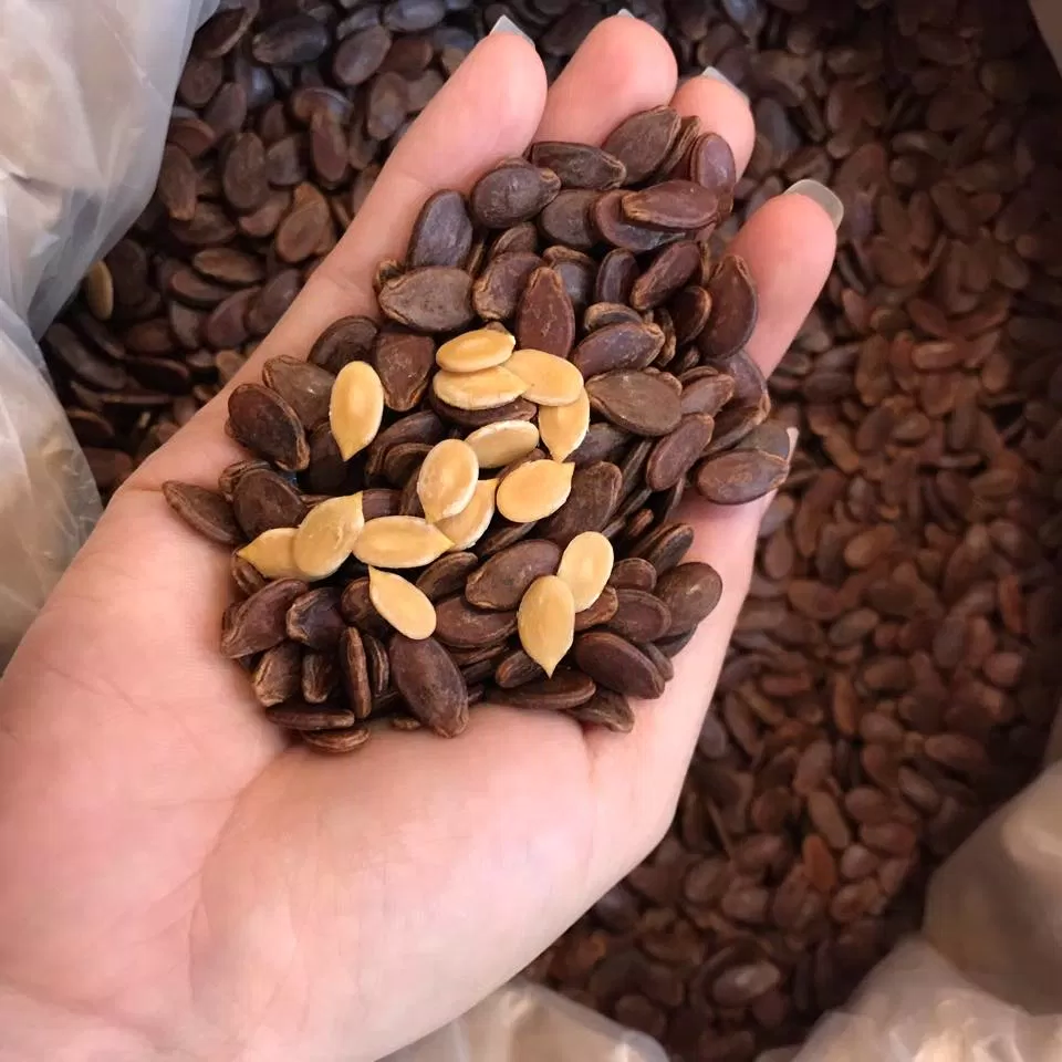 Hạt dưa rang là món ăn vặt hầu như nhà nào cũng có vào dịp Tết (Nguồn: Internet). Hạt dưa rang là món ăn vặt hầu như nhà nào cũng có vào dịp Tết (Nguồn: Internet).