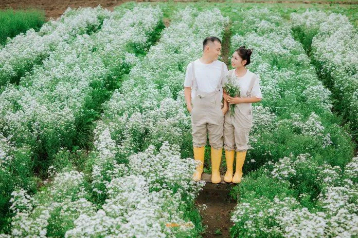 Một sản phẩm của Aloha Studio (ảnh: Aloha Studio) Một sản phẩm của Aloha Studio (ảnh: Aloha Studio)