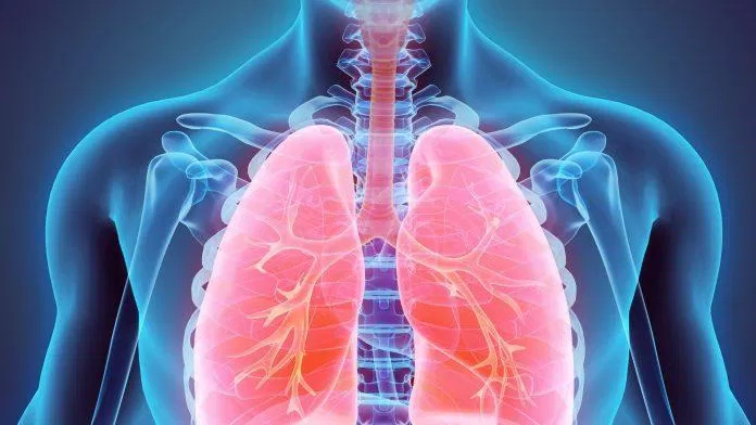 Hệ hô hấp của chúng ta có cấu tạo và chức năng rất phức tạp, nên việc hít thở cũng không hề đơn giản (Ảnh: Internet).