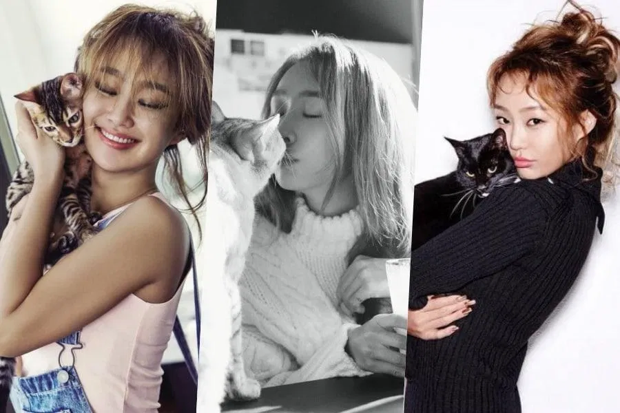 Hyolyn là một trong những ngôi sao Kpop thuộc hội cuồng mèo của Kpop. (Nguồn: Internet)