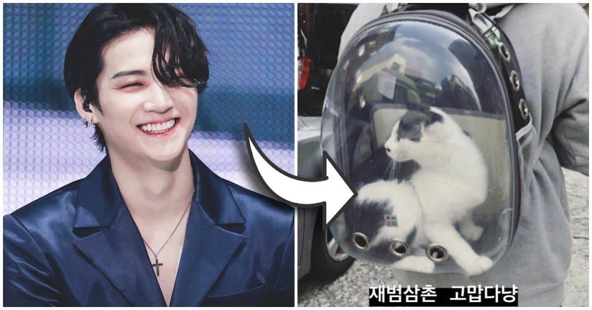 JB (GOT7) là một trong những ngôi sao Kpop thuộc hội cuồng mèo của Kpop. (Nguồn: Internet)