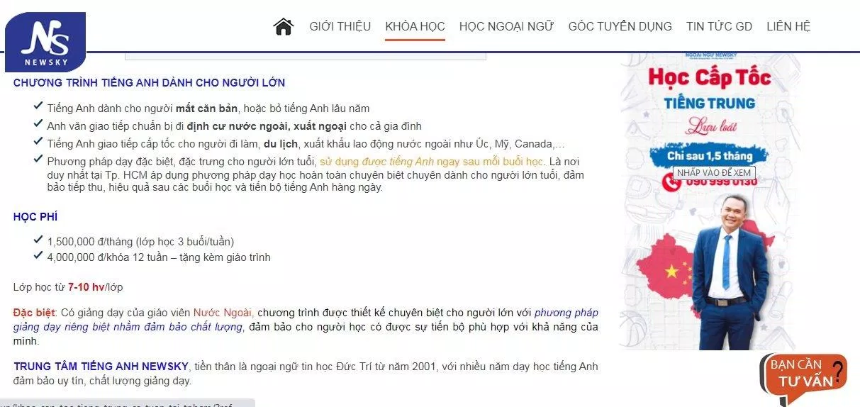 Khóa học tiếng Anh dành cho người lớn của trung tâm Anh ngữ NewSky (ảnh: BlogAnChoi)