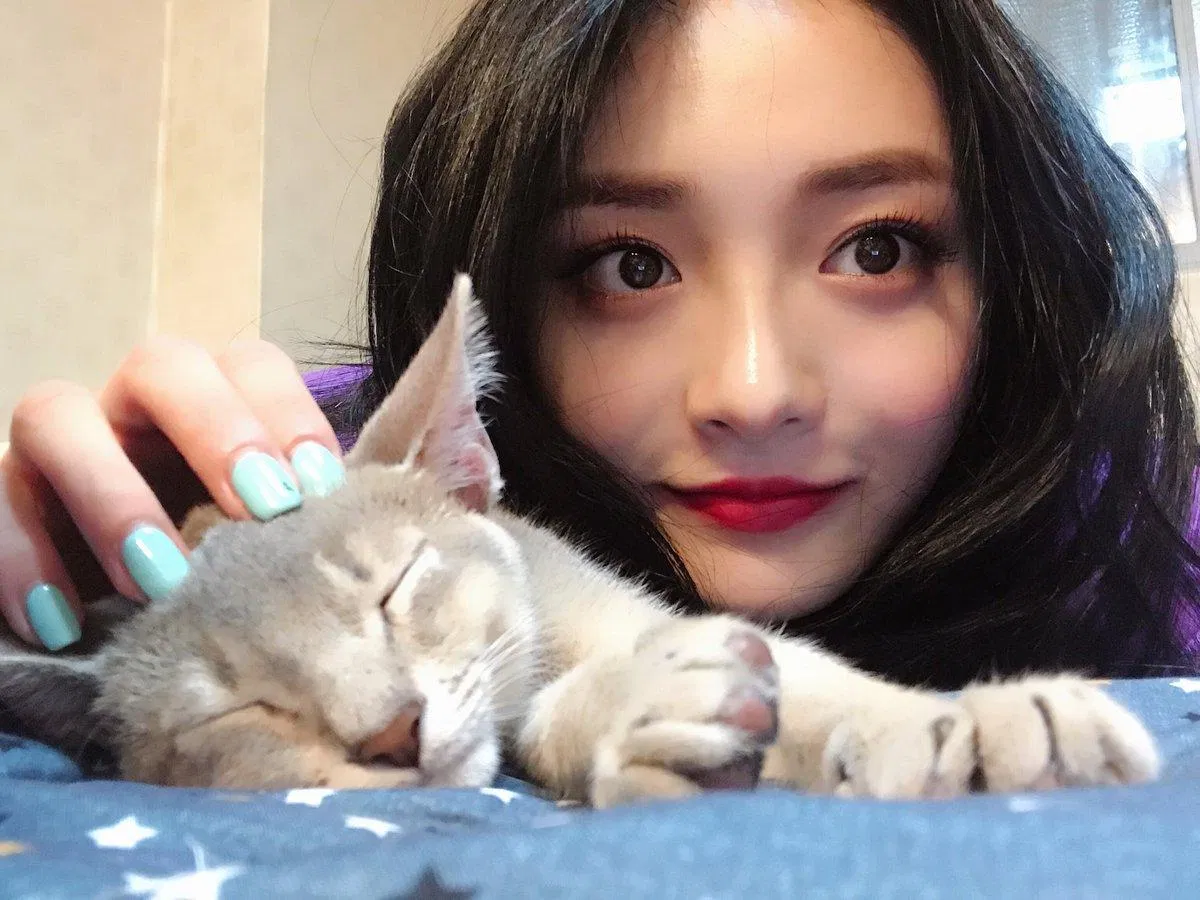 Kyulkyung (cựu thành viên I.O.I & Pristin) là một trong những ngôi sao Kpop thuộc hội cuồng mèo của Kpop. (Nguồn: Internet)