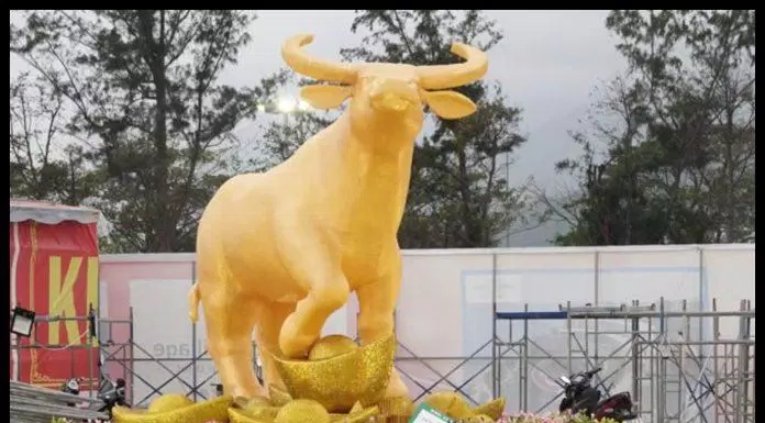 Linh vật Trâu vàng năm 2021 ở Vĩnh Long với gương mặt hốt hoảng, mắt tròn xoe (Ảnh: Internet).