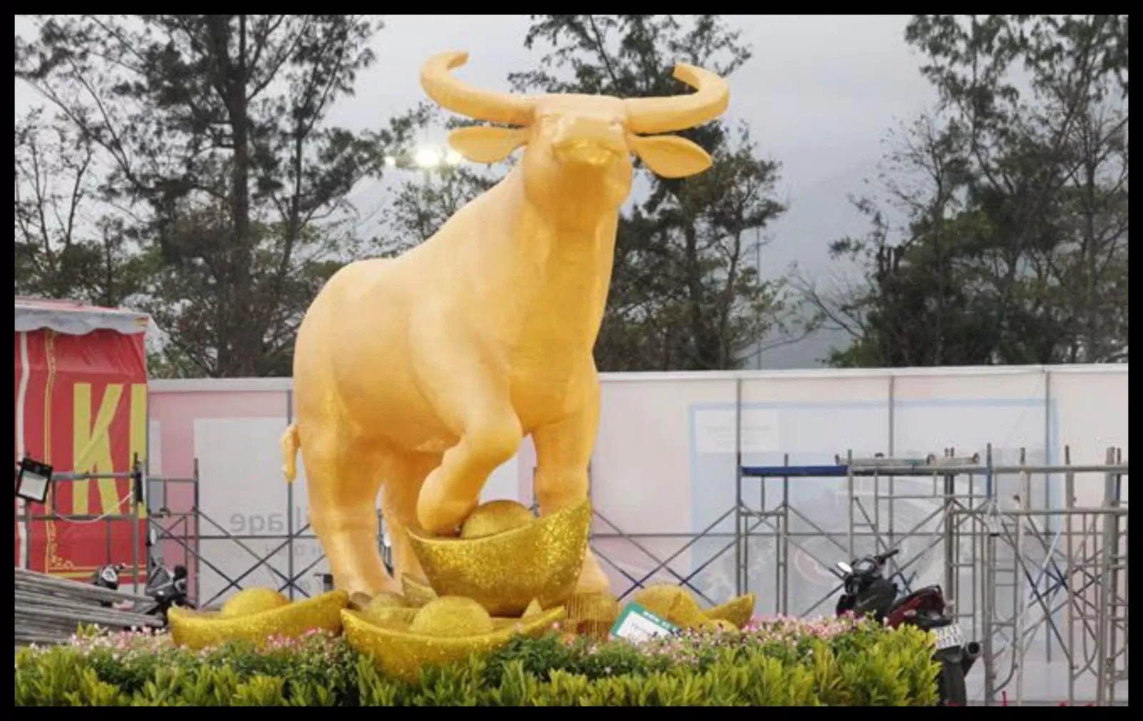 Chú trâu vàng đứng trên thỏi vàng (Ảnh: Internet).