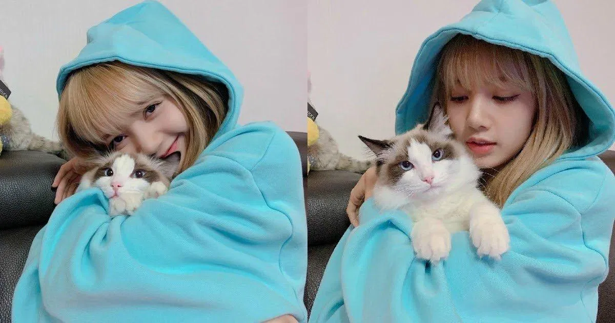Lisa (BLACKPINK) là một trong những ngôi sao Kpop thuộc hội cuồng mèo của Kpop. (Nguồn: Internet)