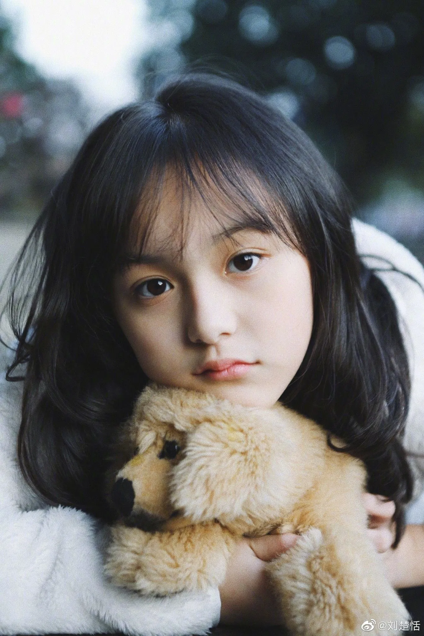 Lưu Sở Điềm hiện tại. (Nguồn: Internet) Lưu Sở Điềm hiện tại. (Nguồn: Internet)