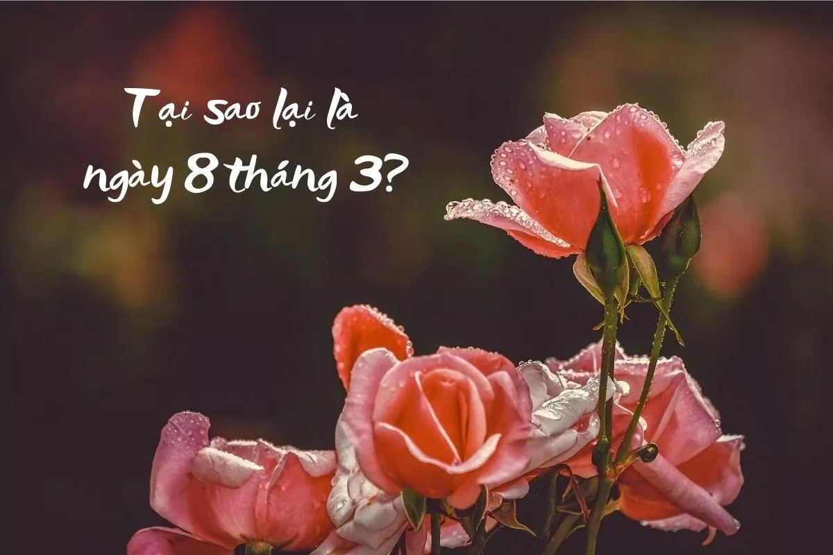 Tại sao lại là ngày 8 tháng 3?