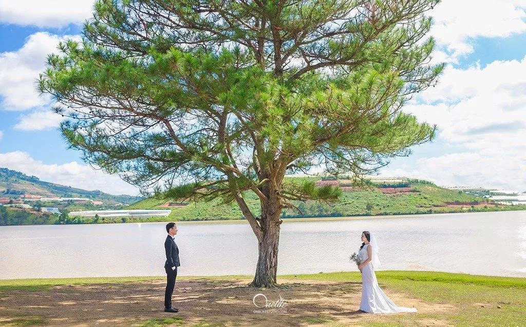 Ảnh cưới của OneLike Studio