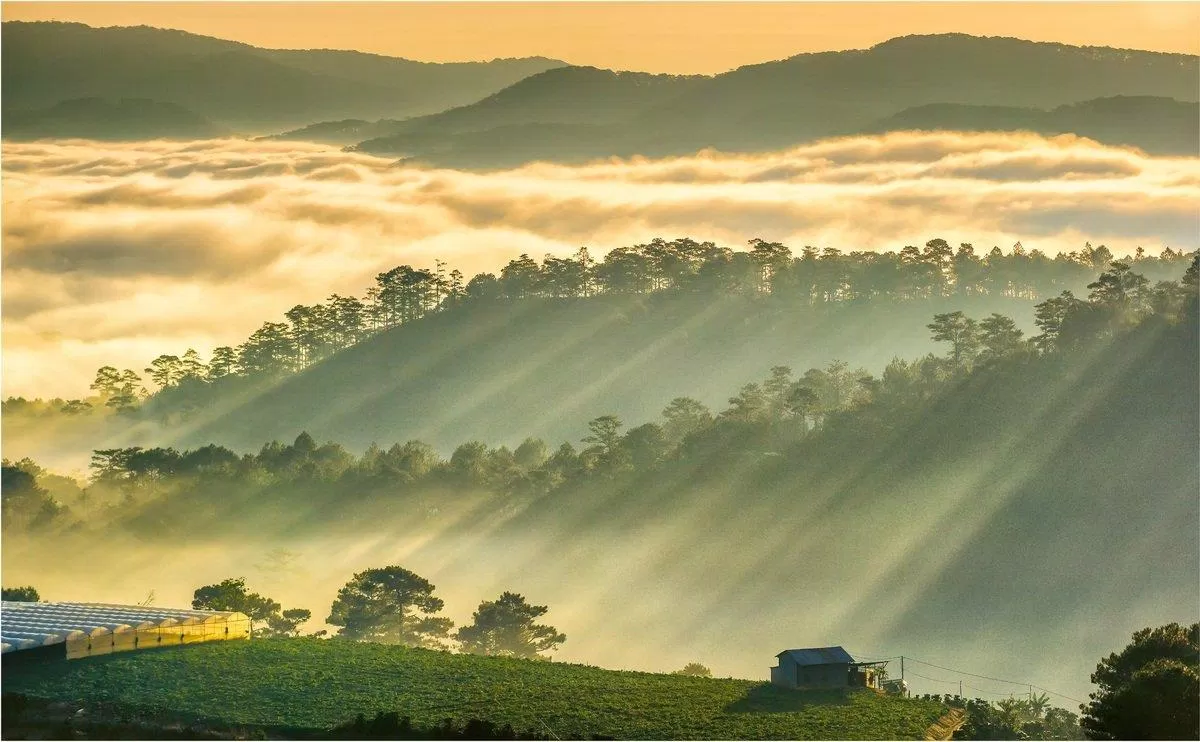 Săn mây vào tháng 6 khi đi du lịch Đà Lạt (Nguồn: Internet)