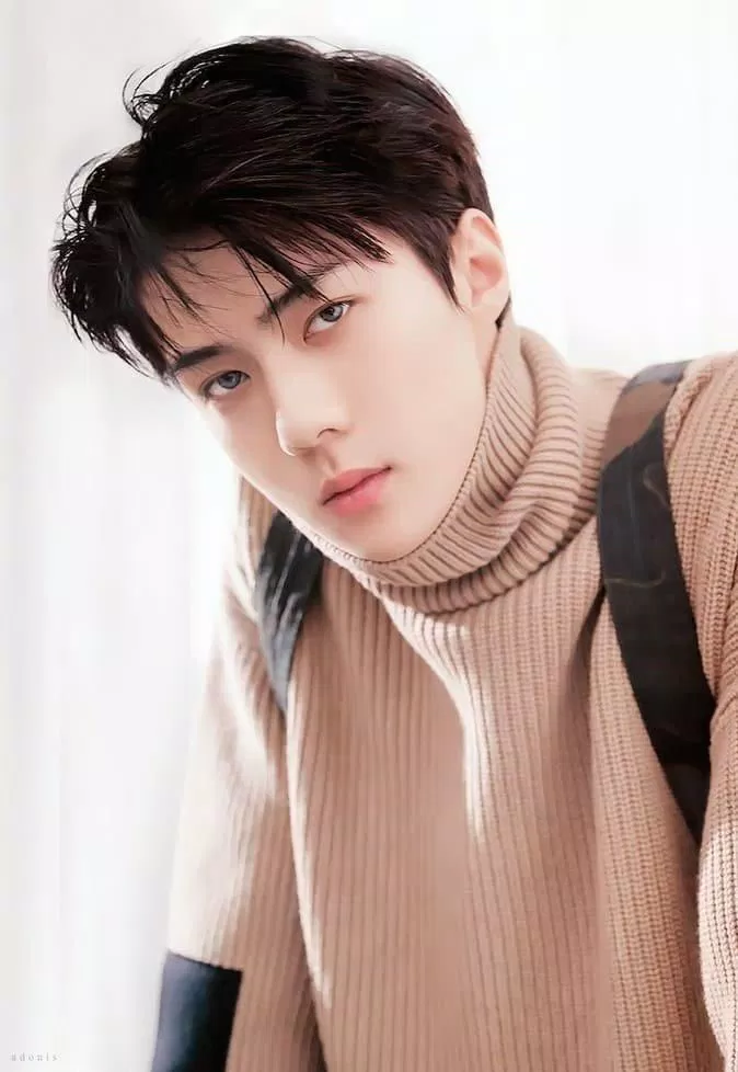 Sehun (EXO) đã có thể mua những bất động sản và tòa nhà sang trọng. (Nguồn: Internet)