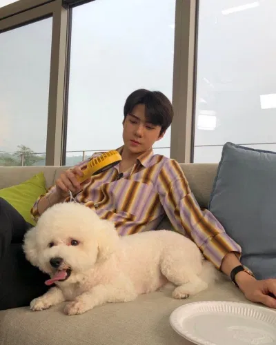 Sehun rất thường xuyên update Instagram. (Nguồn: Instagram) Sehun rất thường xuyên update Instagram. (Nguồn: Instagram)