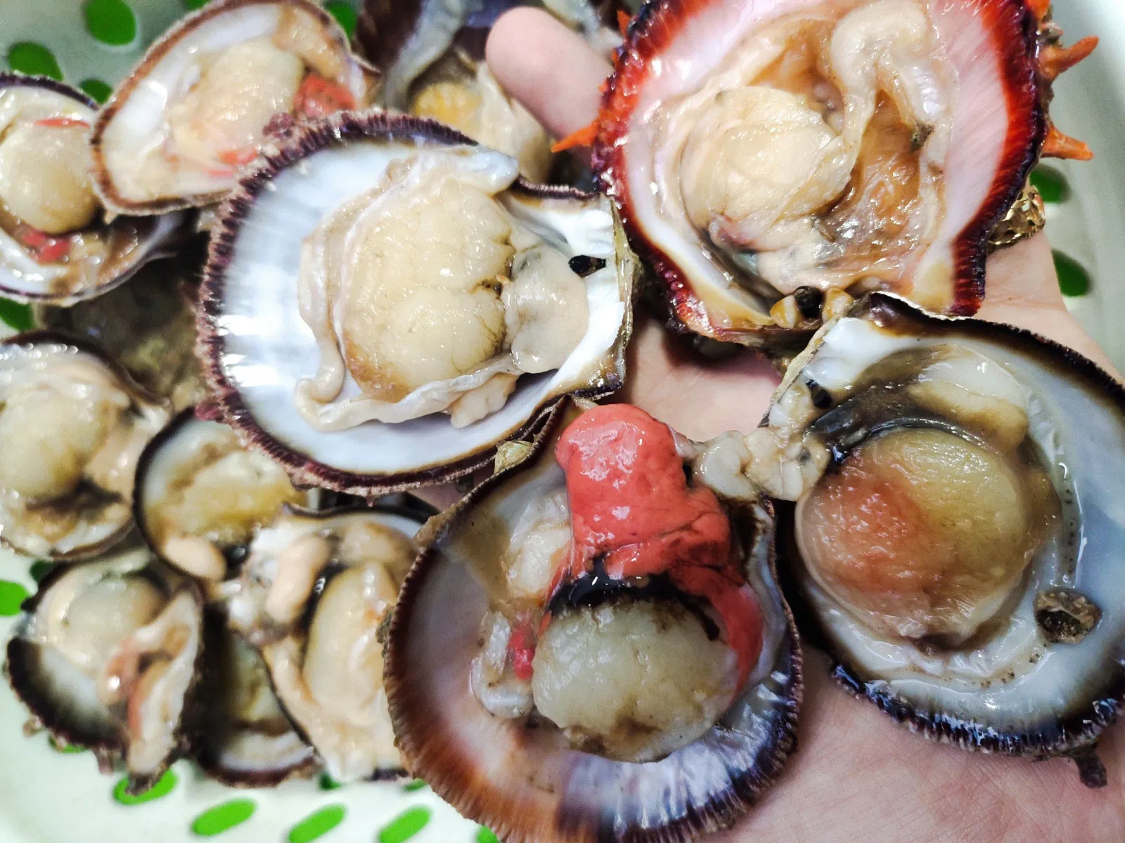 Sò hay hàu đều chứa hàm lượng chất sắt rất cao. (Nguồn: Internet) Sò hay hàu đều chứa hàm lượng chất sắt rất cao. (Nguồn: Internet)