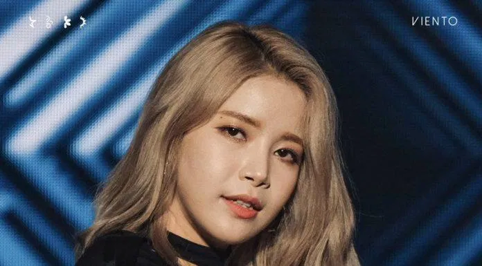Solar MAMAMOO (Ảnh: Internet)