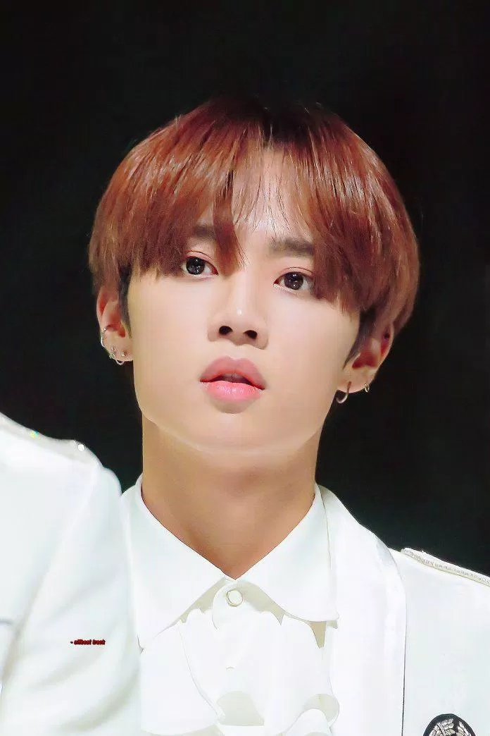 Sunwoo (The Boyz). (Nguồn: Internet)