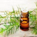 Tea Tree Oil thành phần vàng trong điều trị mụn sưng viêm ( Nguồn: internet)