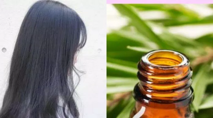 Kết hợp Tea Tree Oil với dầu gội đầu hoặc các sản phẩm dưỡng tóc giúp tóc bóng mượt ( Nguồn: internet)