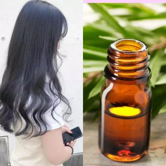 Kết hợp Tea Tree Oil với dầu gội đầu hoặc các sản phẩm dưỡng tóc giúp tóc bóng mượt ( Nguồn: internet)