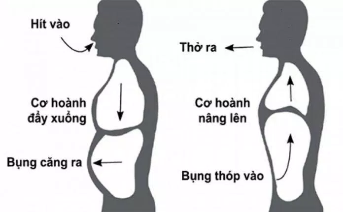 Thở bụng làm cho phần bụng căng lên xẹp xuống rất dễ nhận biết (Ảnh: Internet). Thở bụng làm cho phần bụng căng lên xẹp xuống rất dễ nhận biết (Ảnh: Internet).