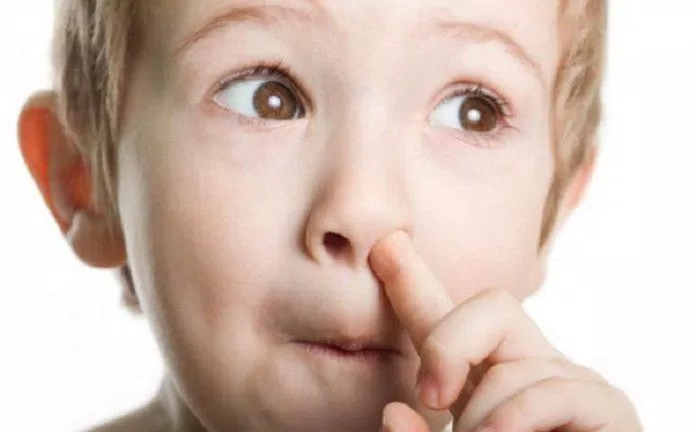 Nhiều người thích ngoáy mũi vì tạo cảm giác "sướng", nhưng thực ra đó lại là thói quen có hại (Ảnh: Internet). Nhiều người thích ngoáy mũi vì tạo cảm giác "sướng", nhưng thực ra đó lại là thói quen có hại (Ảnh: Internet).