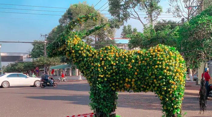 Chiêm ngưỡng vẻ đẹp của linh vật năm nay tại Long Khánh, Đồng Nai (Ảnh: Internet).