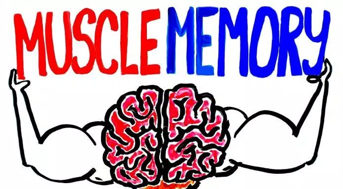 Muscle memory là đề tài thú vị nhưng chưa được nghiên cứu nhiều (Ảnh: Internet).