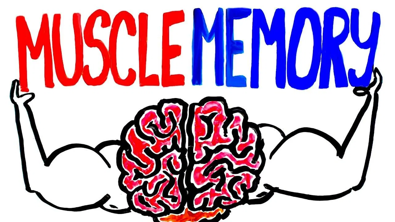 Muscle memory là đề tài thú vị nhưng chưa được nghiên cứu nhiều (Ảnh: Internet). Muscle memory là đề tài thú vị nhưng chưa được nghiên cứu nhiều (Ảnh: Internet).