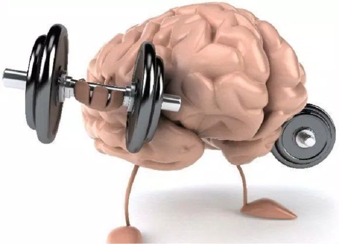 Cơ bắp liệu có não như lời đồn? (Ảnh: Internet).