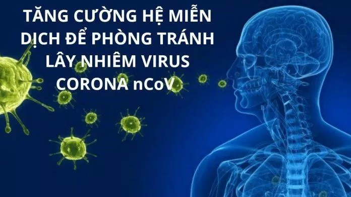 Hệ miễn dịch giúp cơ thể chống lại các tác nhân gây bệnh, trong đó có virus SARS-CoV-2 (Ảnh: Internet).