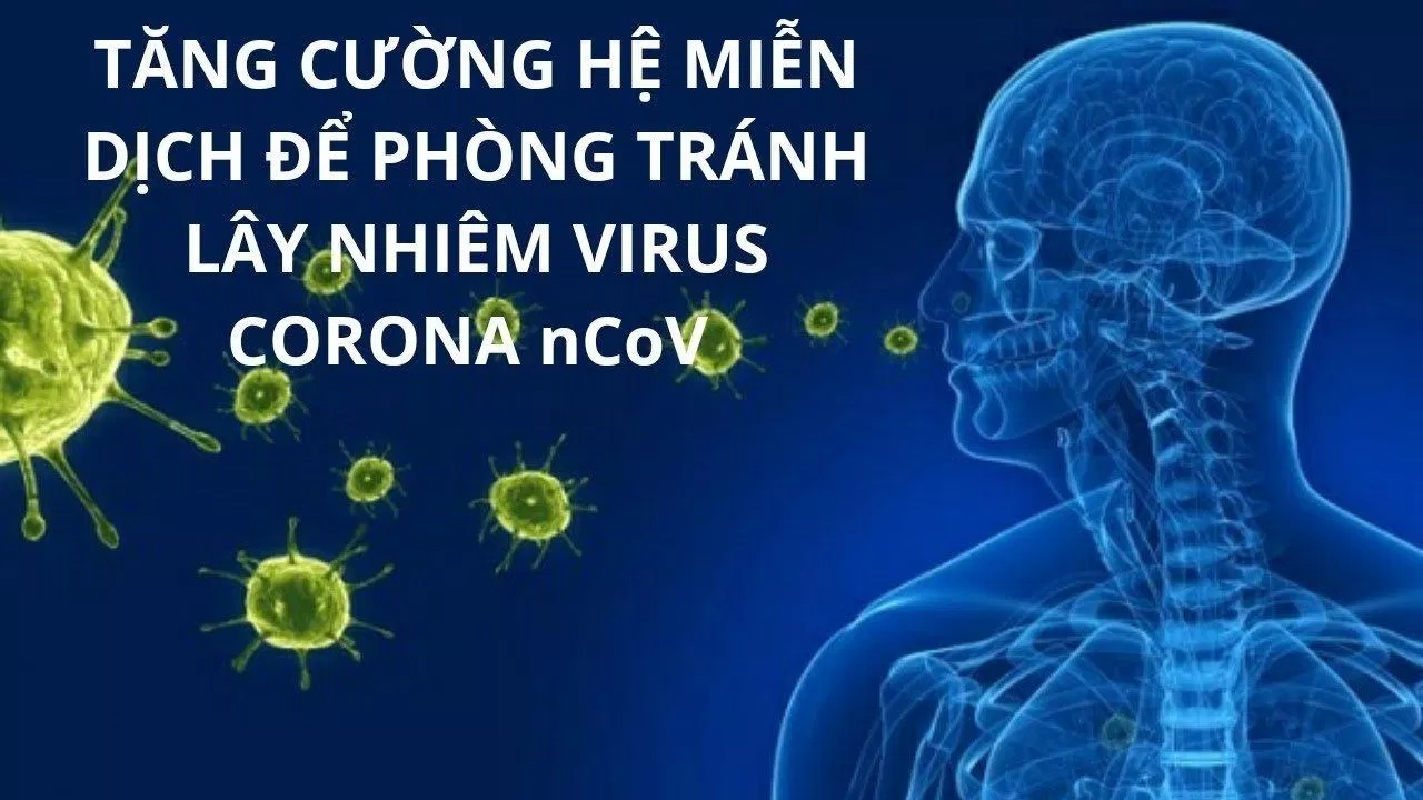 Hệ miễn dịch giúp cơ thể chống lại các tác nhân gây bệnh, trong đó có virus SARS-CoV-2 (Ảnh: Internet). Hệ miễn dịch giúp cơ thể chống lại các tác nhân gây bệnh, trong đó có virus SARS-CoV-2 (Ảnh: Internet).