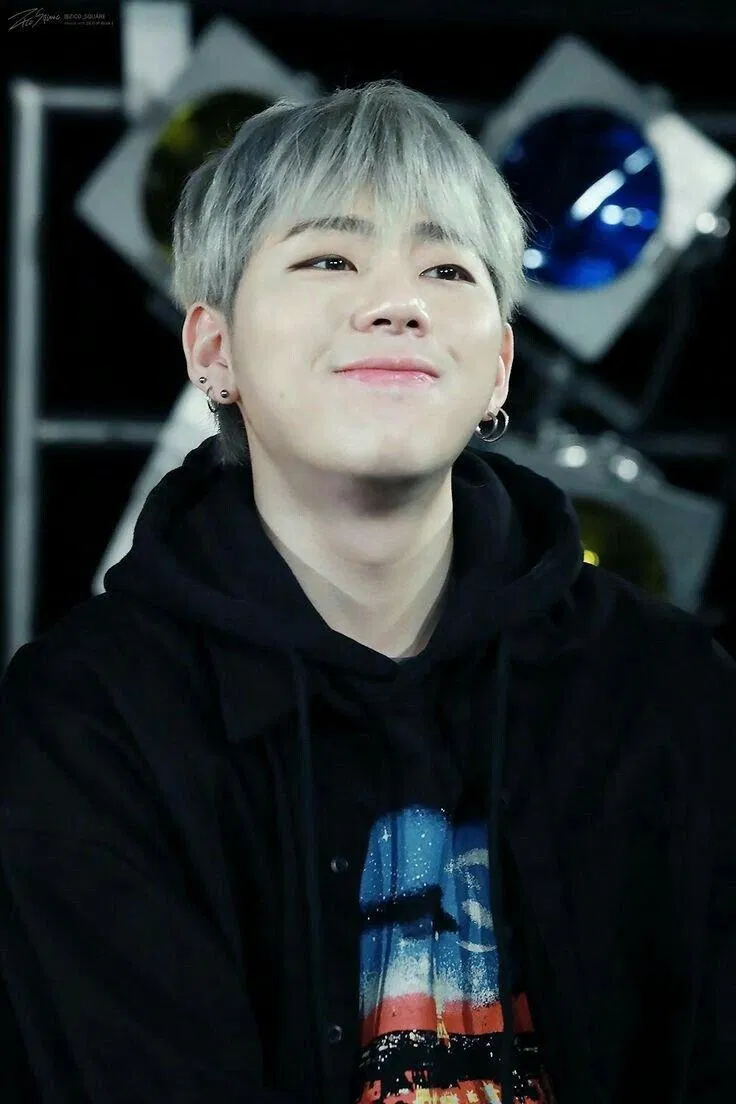 Zico (Block B) đã có thể mua những bất động sản và tòa nhà sang trọng. (Nguồn: Internet)