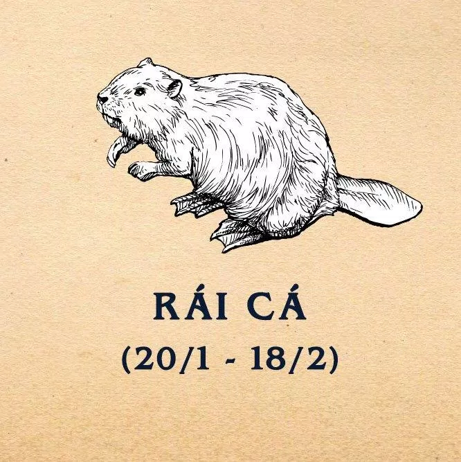 Vật tổ đầu tiên của người Da Đỏ là Rái Cá. (Ảnh: Internet)