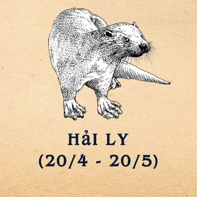 Hải Ly là loài có đầu óc, có chiến lược. (Ảnh: BlogAnChoi)