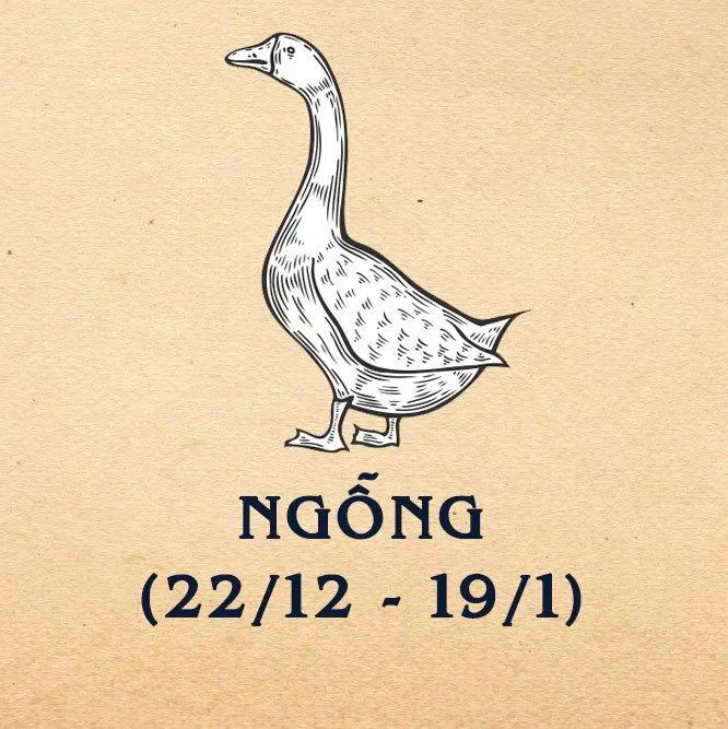 Ngỗng được ngưỡng mộ vì sự tham vọng và đáng tin cậy. (Ảnh: BlogAnChoi)