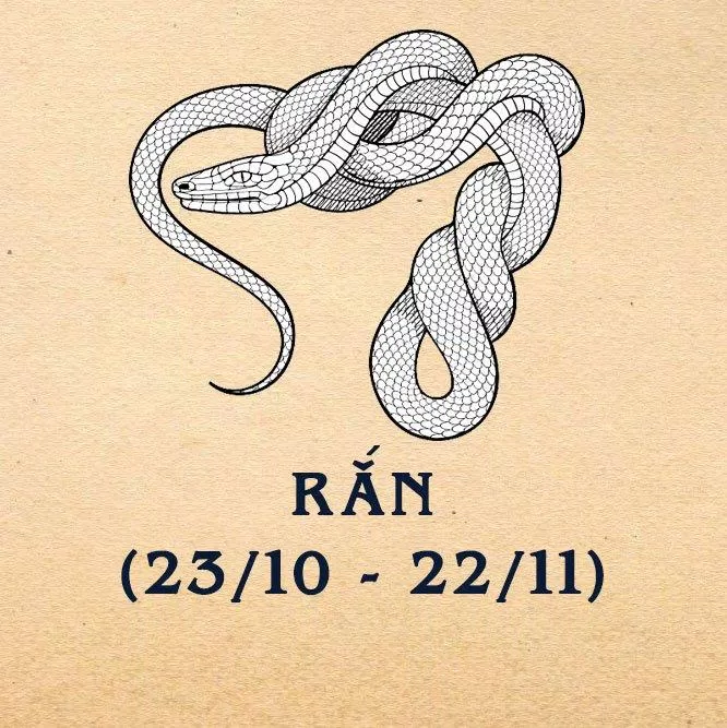 Đáng sợ nhất nhưng vẫn bí ẩn nhất. (Ảnh: BlogAnChoi)