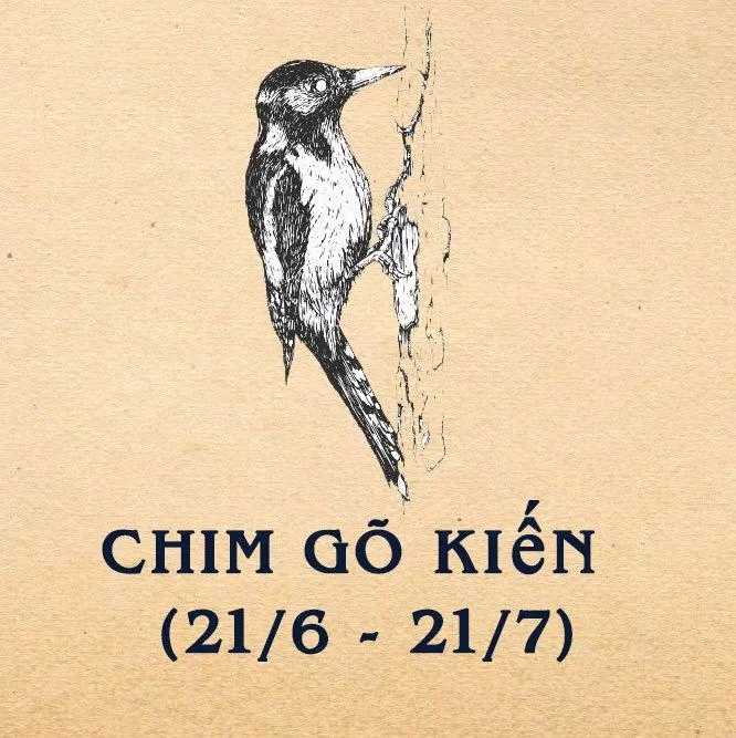 Những người đồng cảm và thấu hiểu. (Ảnh: BlogAnChoi)