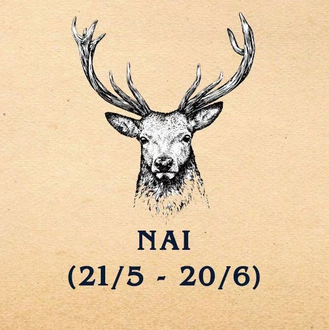 Con Nai là kẻ mê hoặc, thu hút sự chú ý của mọi người. (Ảnh: BlogAnChoi)